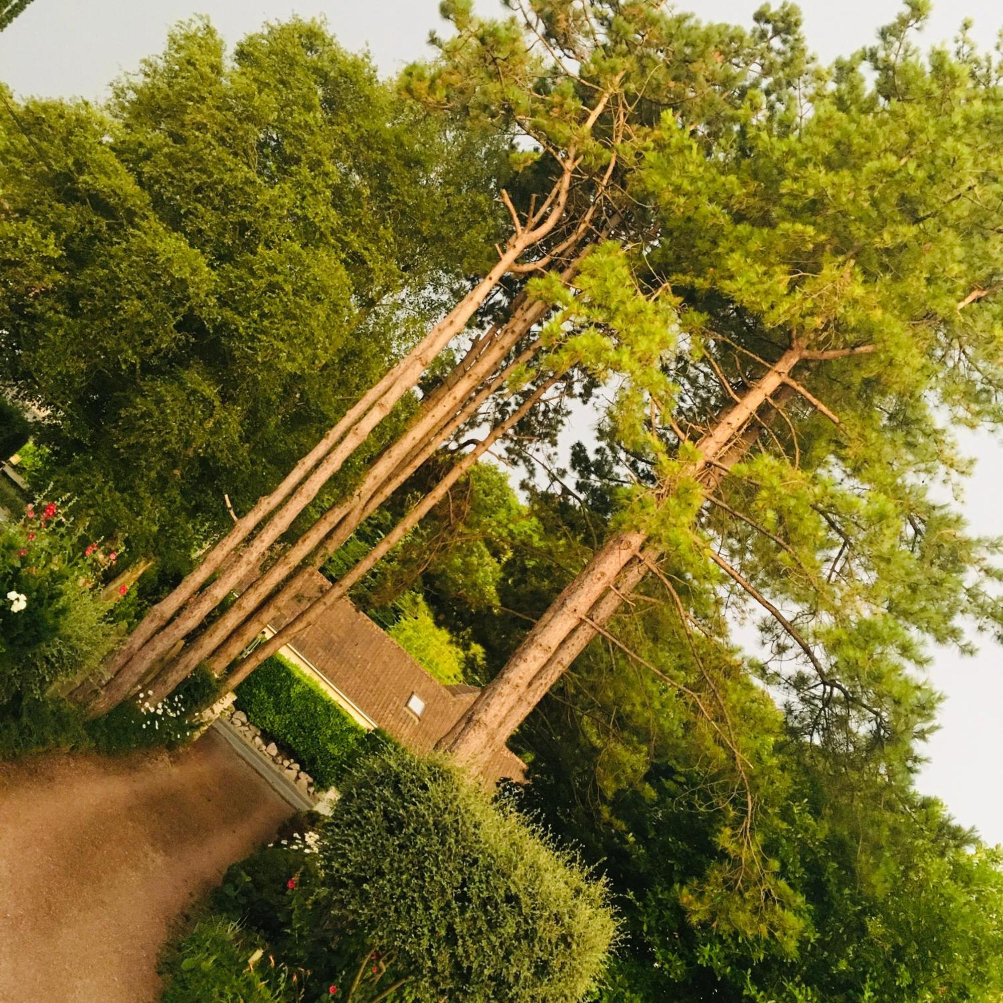 Greenfield Chambres D'Hotes Neufchâtel-Hardelot Εξωτερικό φωτογραφία