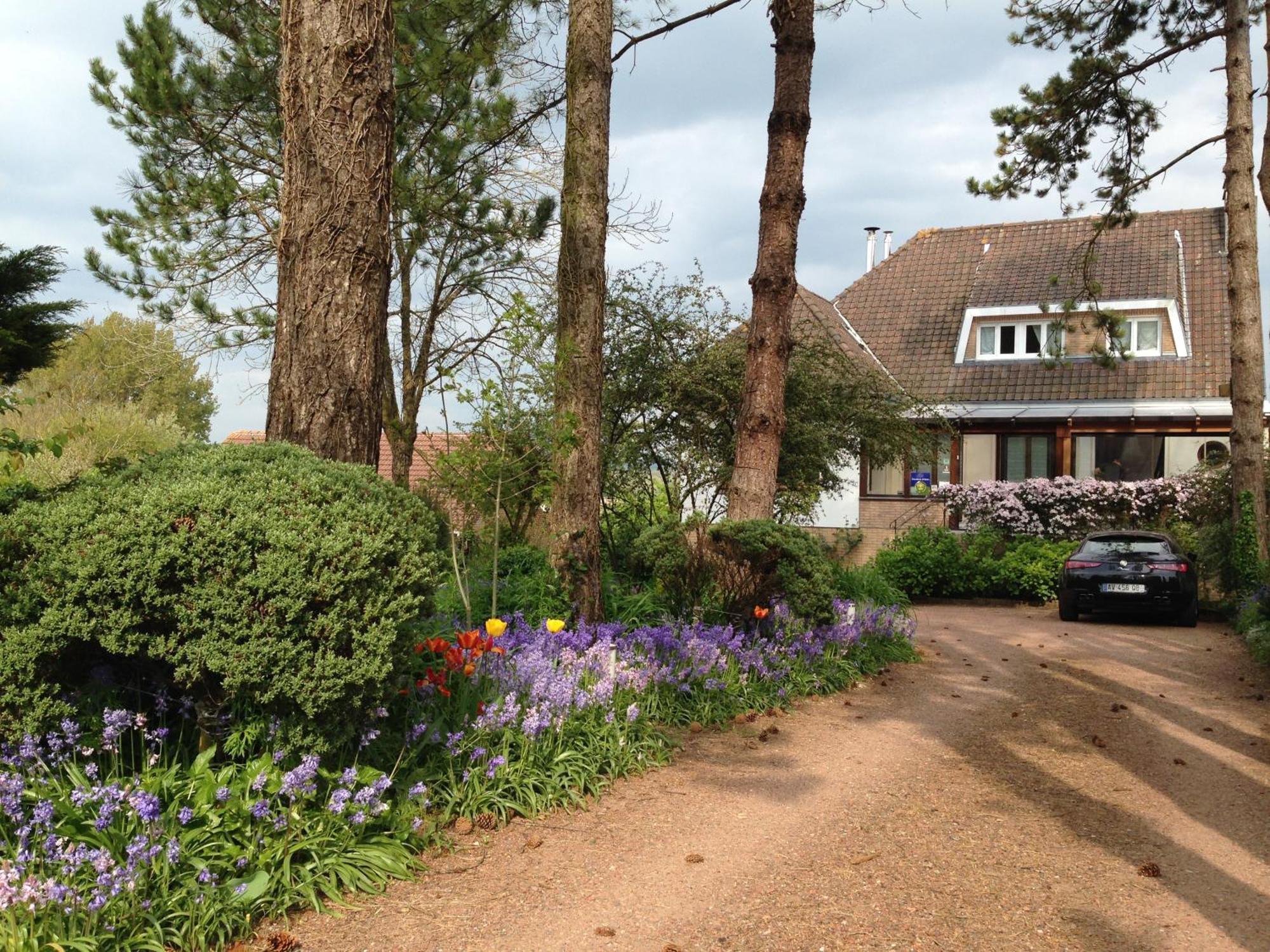 Greenfield Chambres D'Hotes Neufchâtel-Hardelot Εξωτερικό φωτογραφία