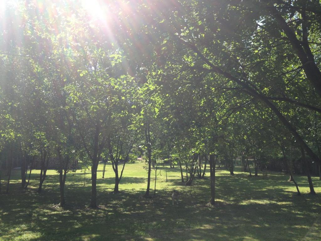 Greenfield Chambres D'Hotes Neufchâtel-Hardelot Εξωτερικό φωτογραφία